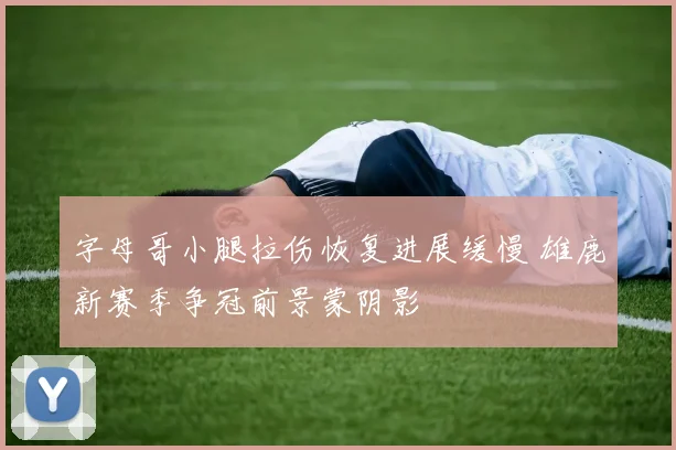 字母哥小腿拉伤恢复进展缓慢 雄鹿新赛季争冠前景蒙阴影